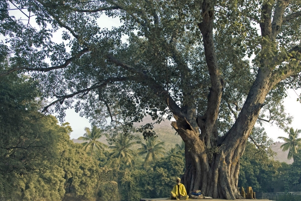 Photograph Damian Crook Tiru 0820 on One Eyeland